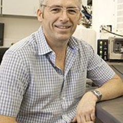 Prof. Bill O'Neill